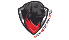 drugdetectiondogsdalarna